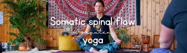 Somatic Spinal flow