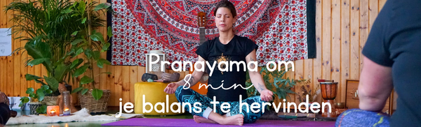 Nadhi sodhona pranayama (Wisselende neusademhaling)
